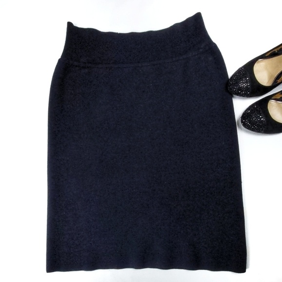 HippoTotAmus Dresses & Skirts - Pull-On Knit Skirt EUC